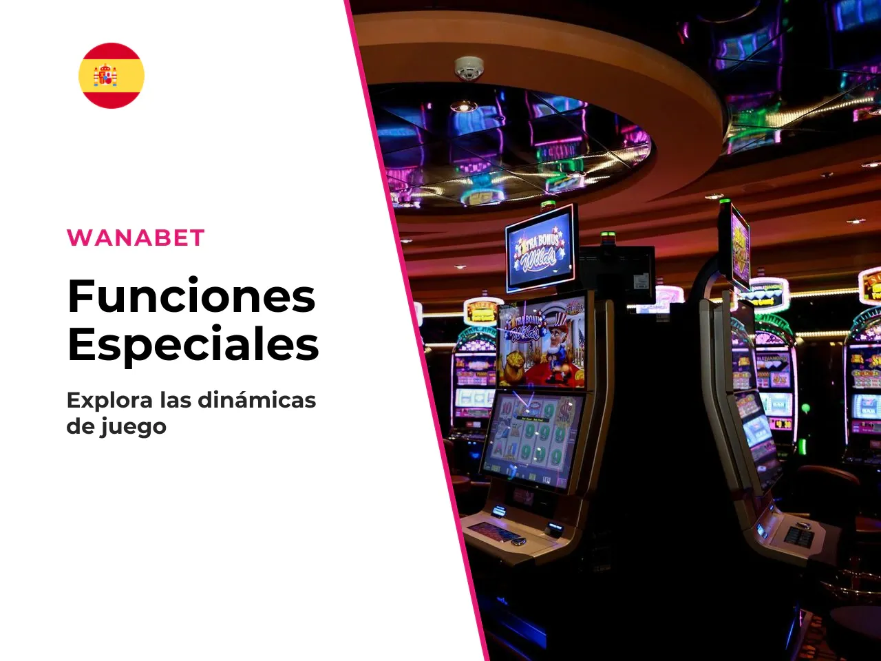 Qué bonus features hacen que el