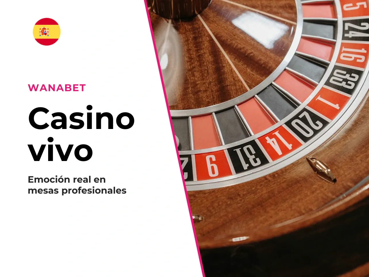 Casino en vivo y experiencia de