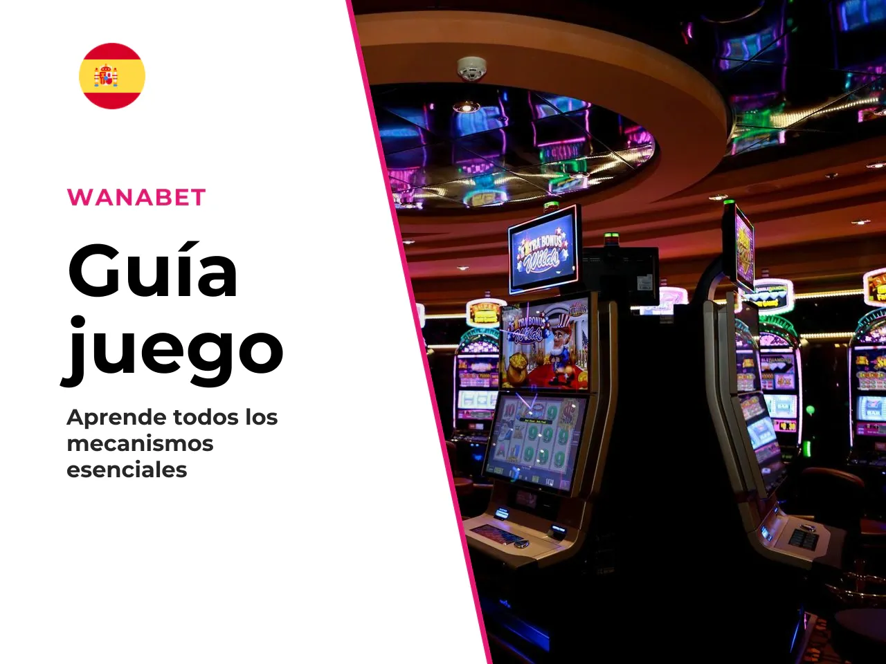 El proceso es sencillo. Selecciona tu