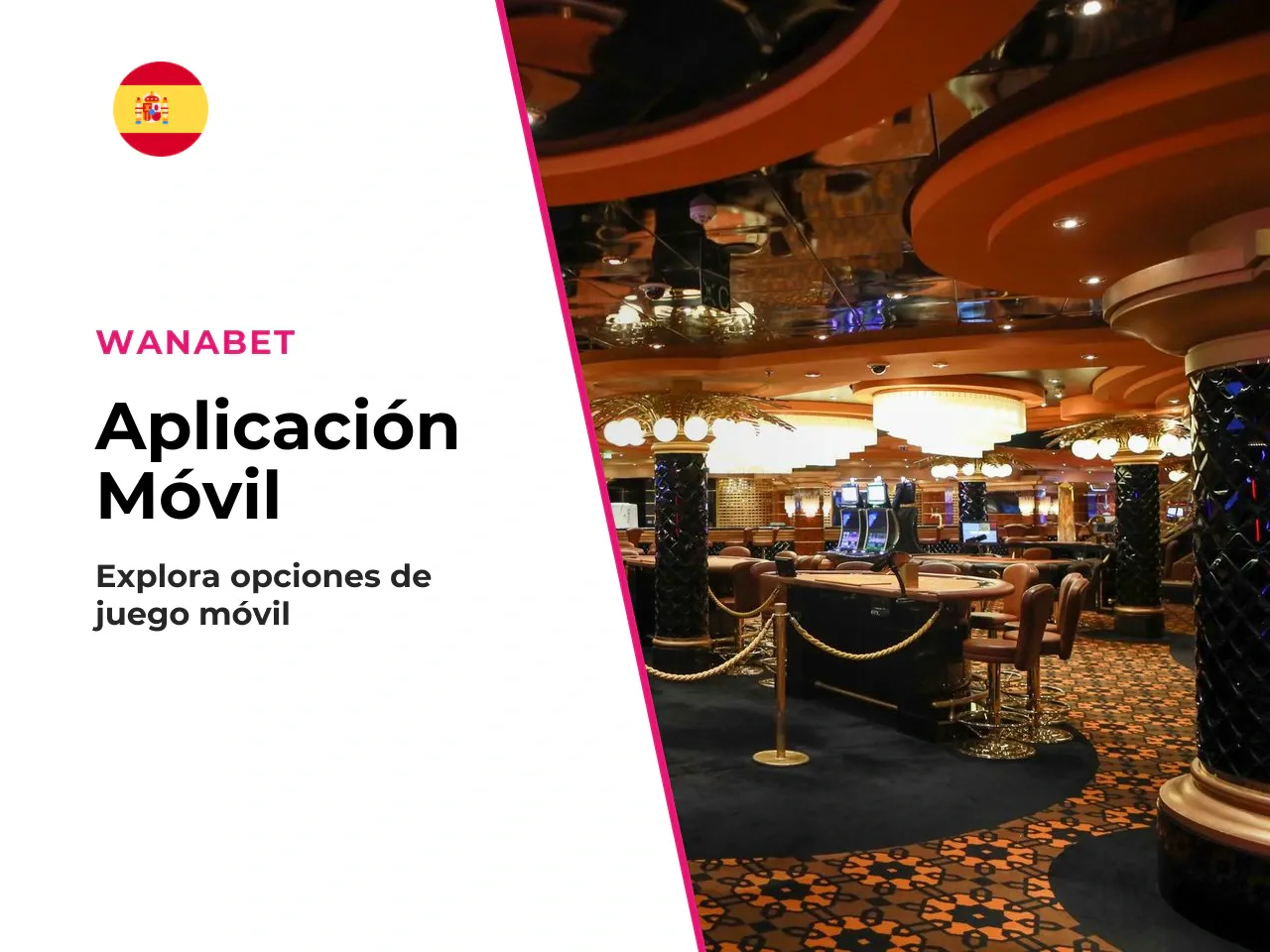 Descargar la aplicación y alternativas si