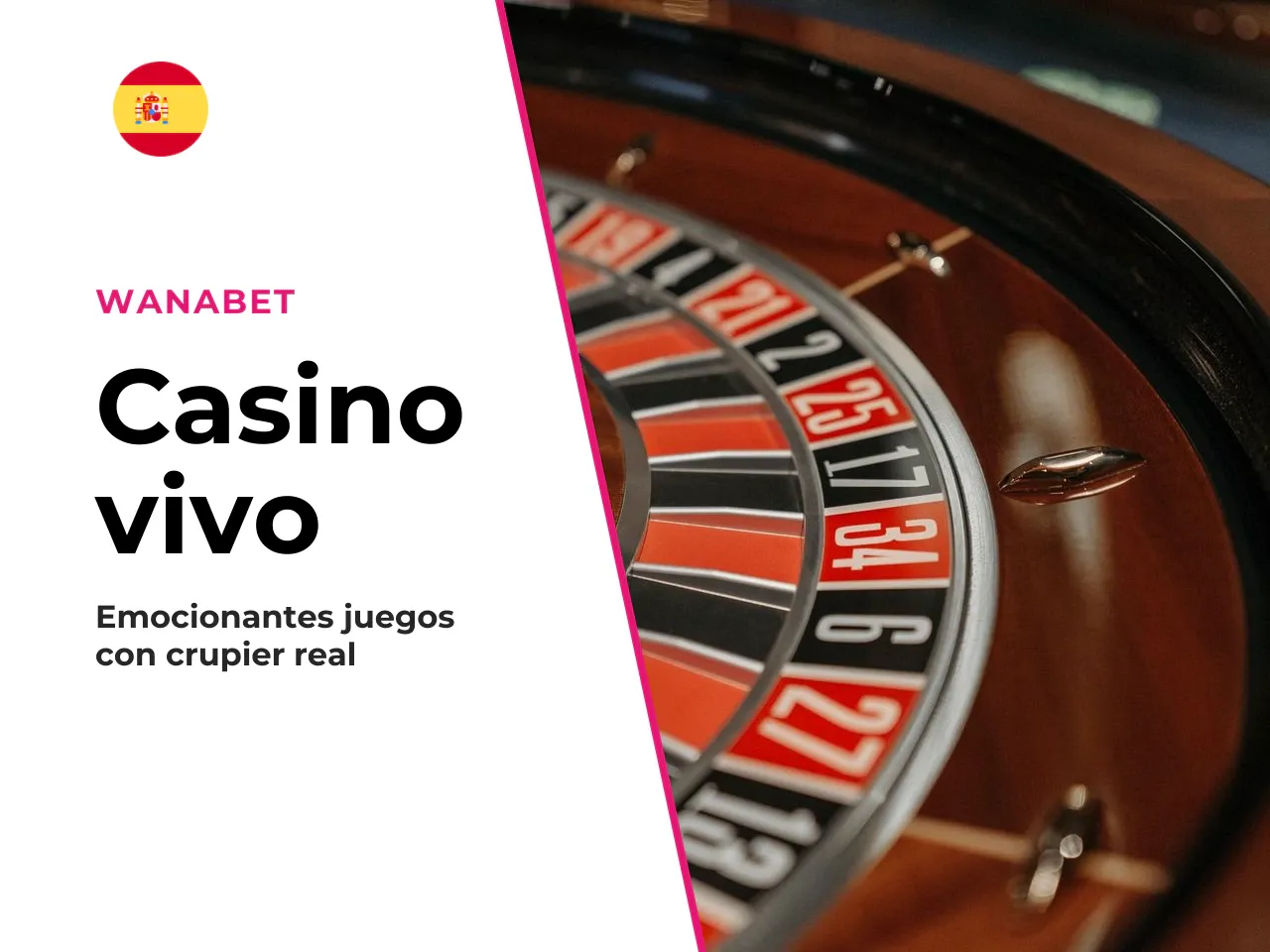 Casino en vivo y experiencia de
