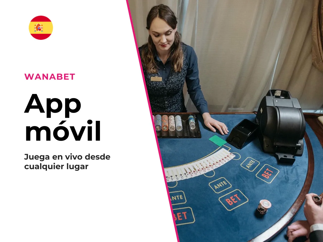 Características de la versión móvil