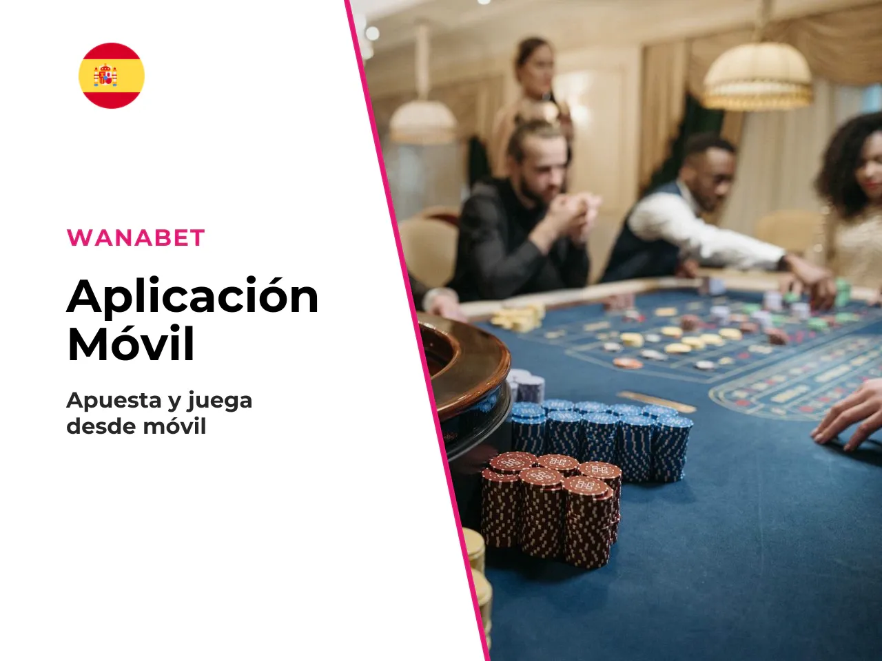Para qué sirve la aplicación en
